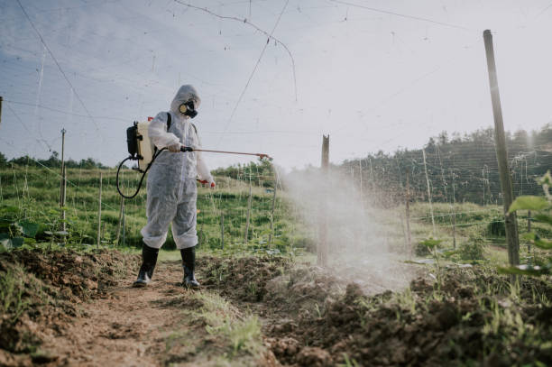 Best Pest Removal Services  in Spring Lake, NC