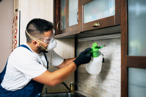 Best Exterminator Services  in Spring Lake, NC