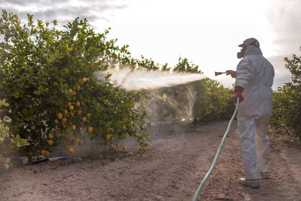 Best Best Pest Control Companies  in Spring Lake, NC