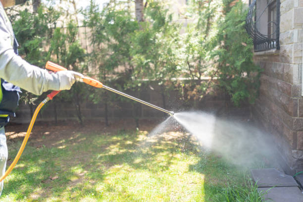 Trusted Spring Lake, NC Pest Control Experts